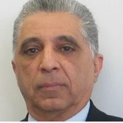Dr Mamdouh El-Shanawany