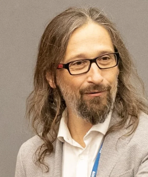 Professor Edoardo Patelli